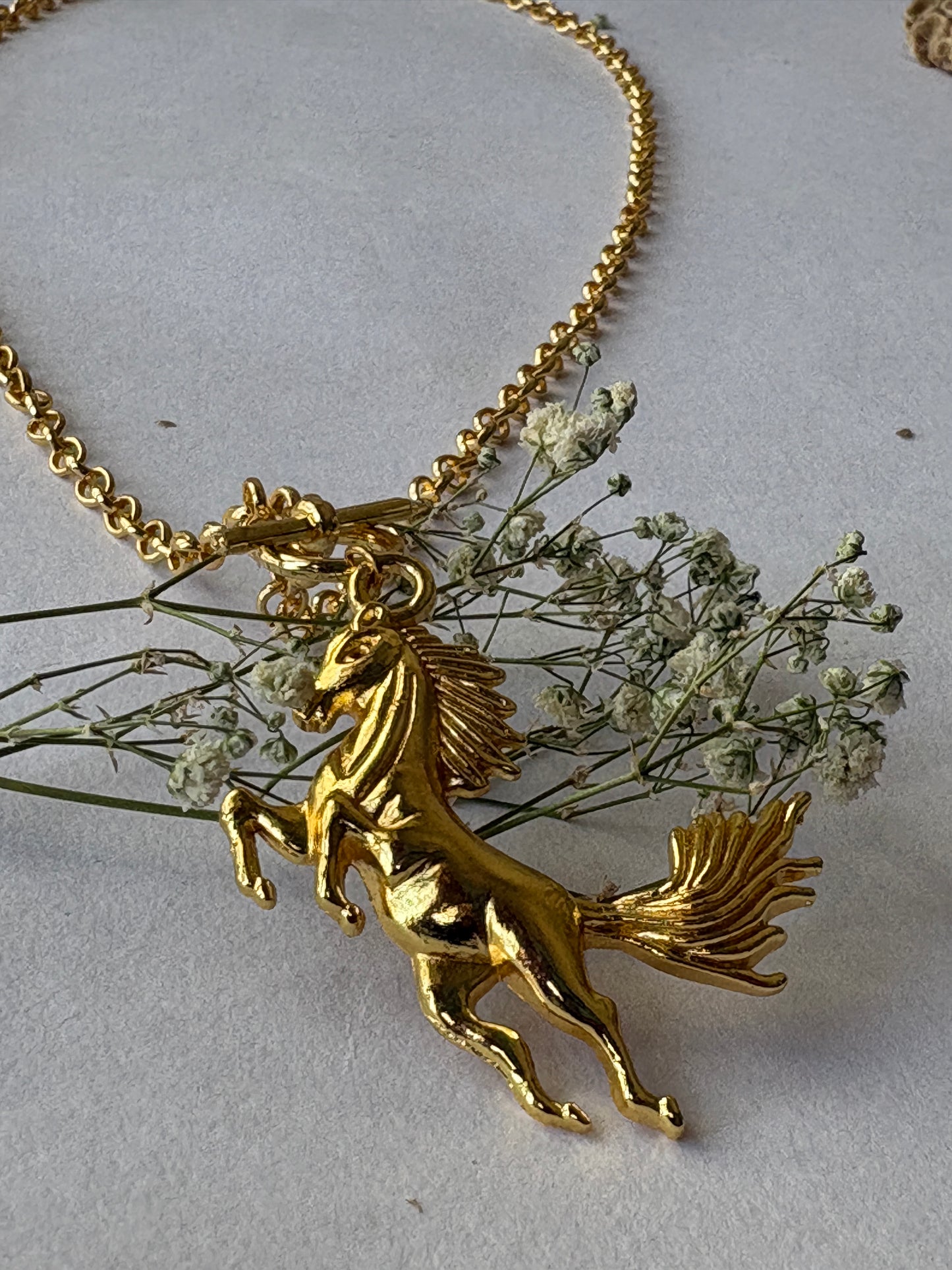 FONA neck chain