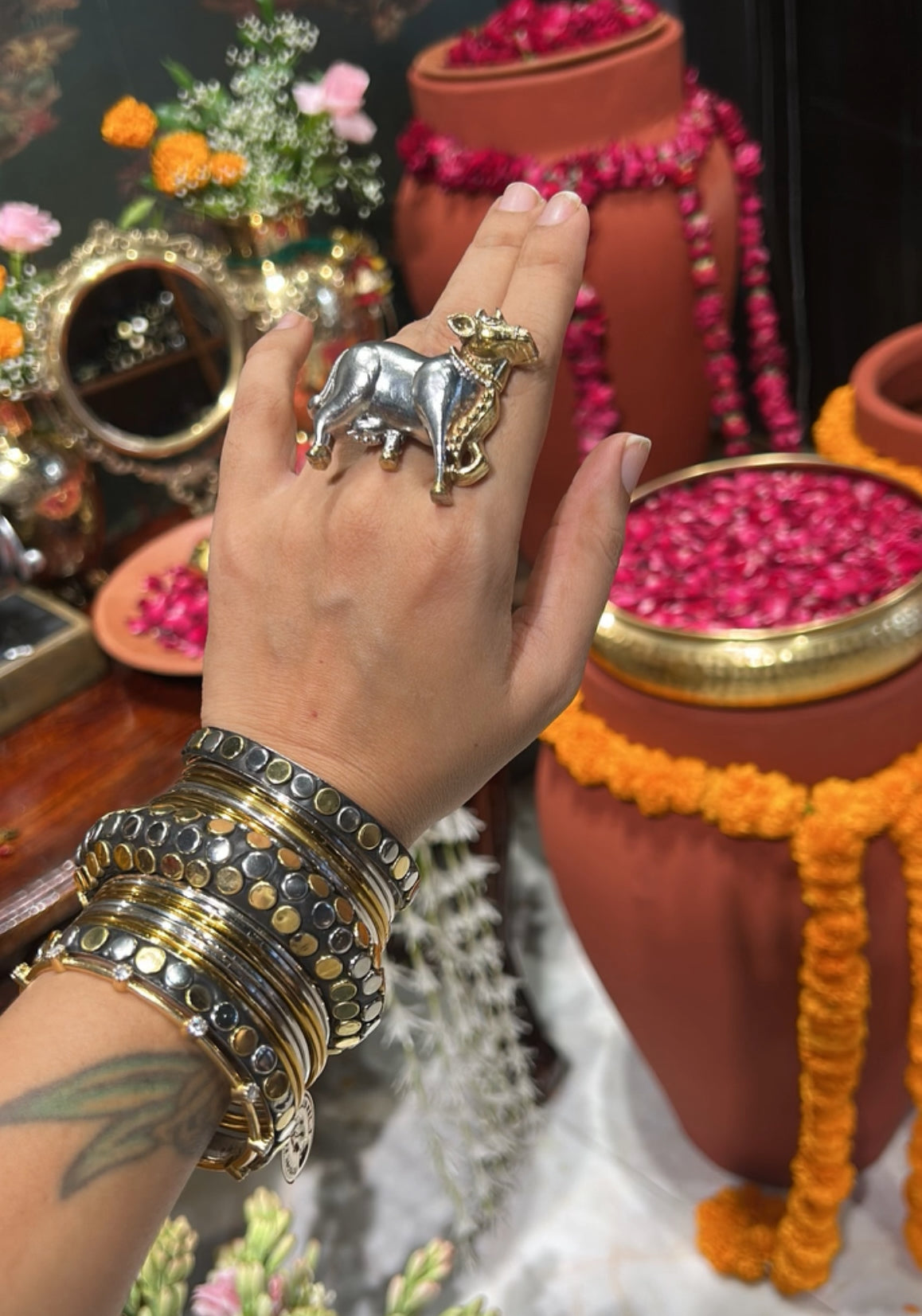 Nandi Ring (2.0)