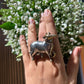 Nandi Ring (2.0)