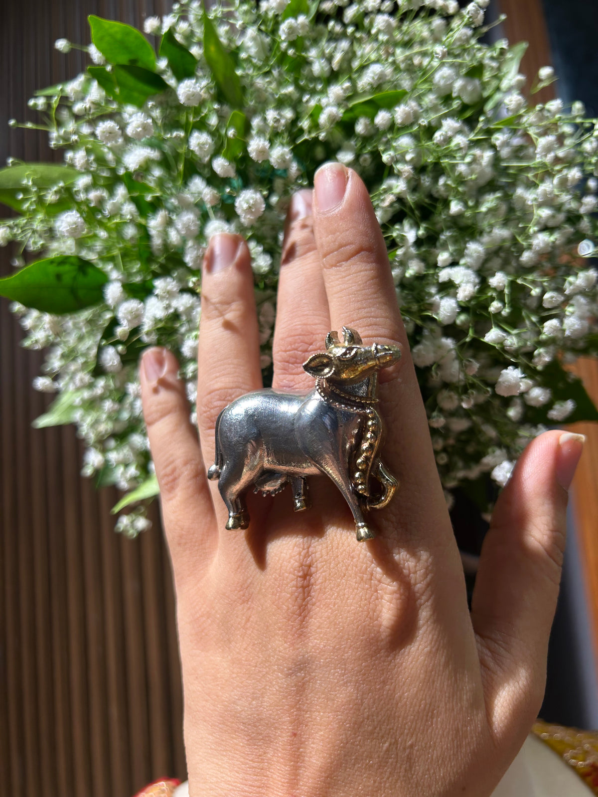 Nandi Ring (2.0)