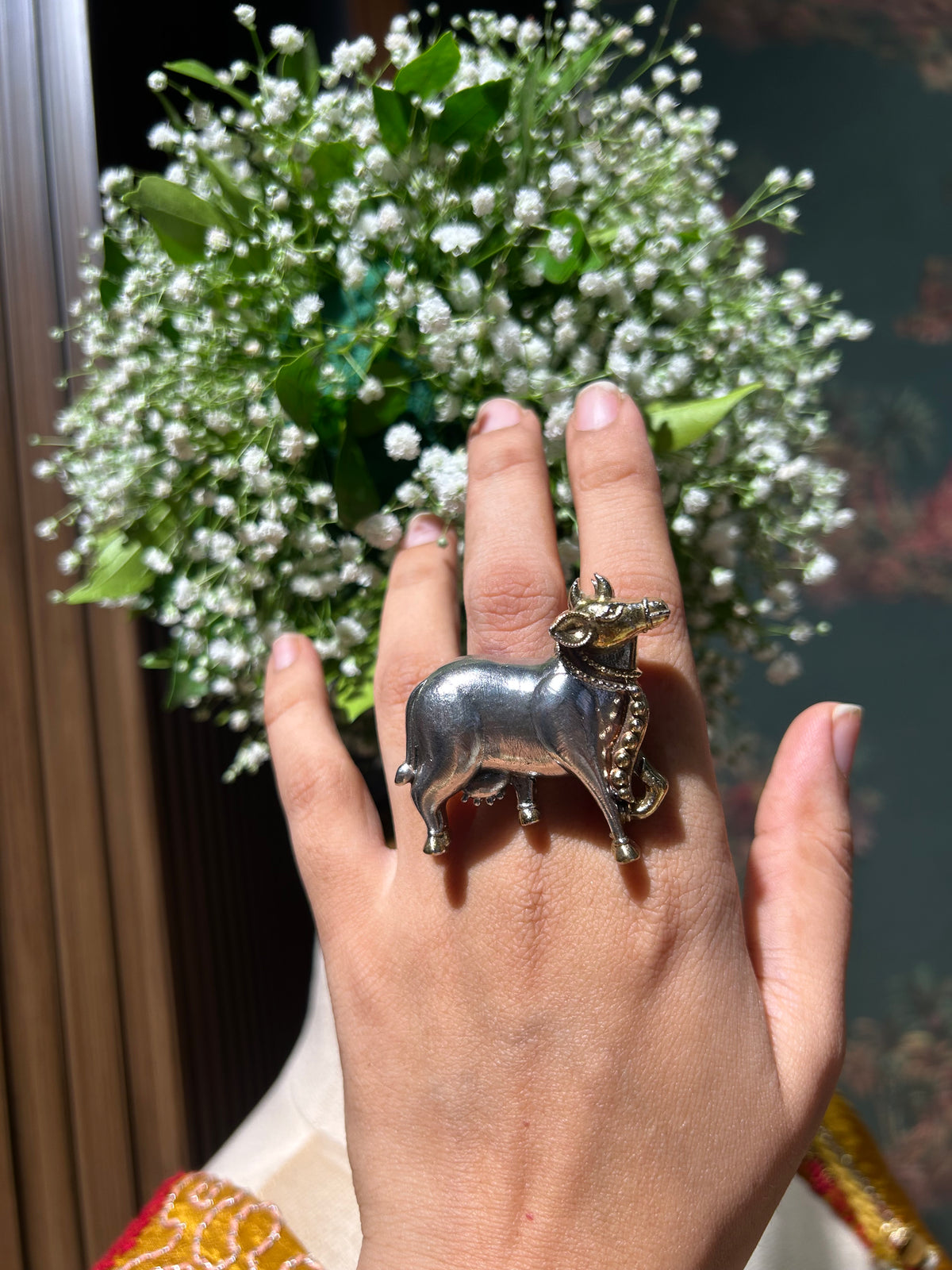 Nandi Ring (2.0)
