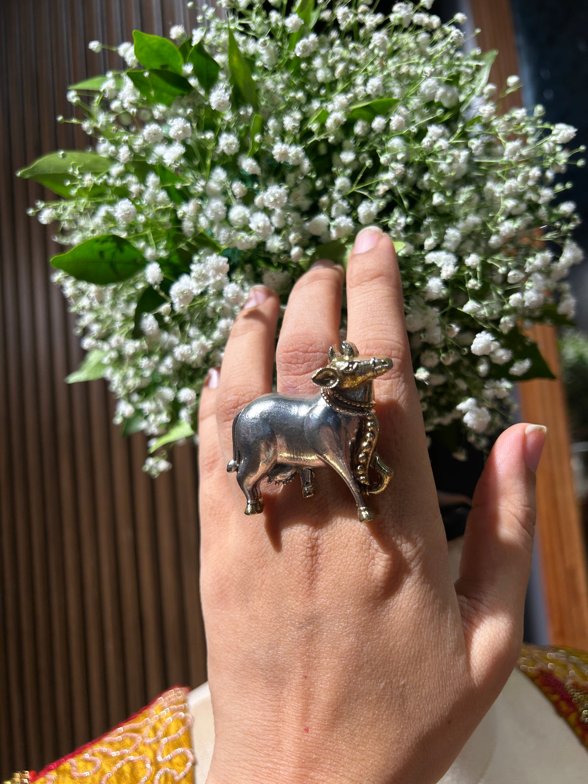 Nandi Ring (2.0)