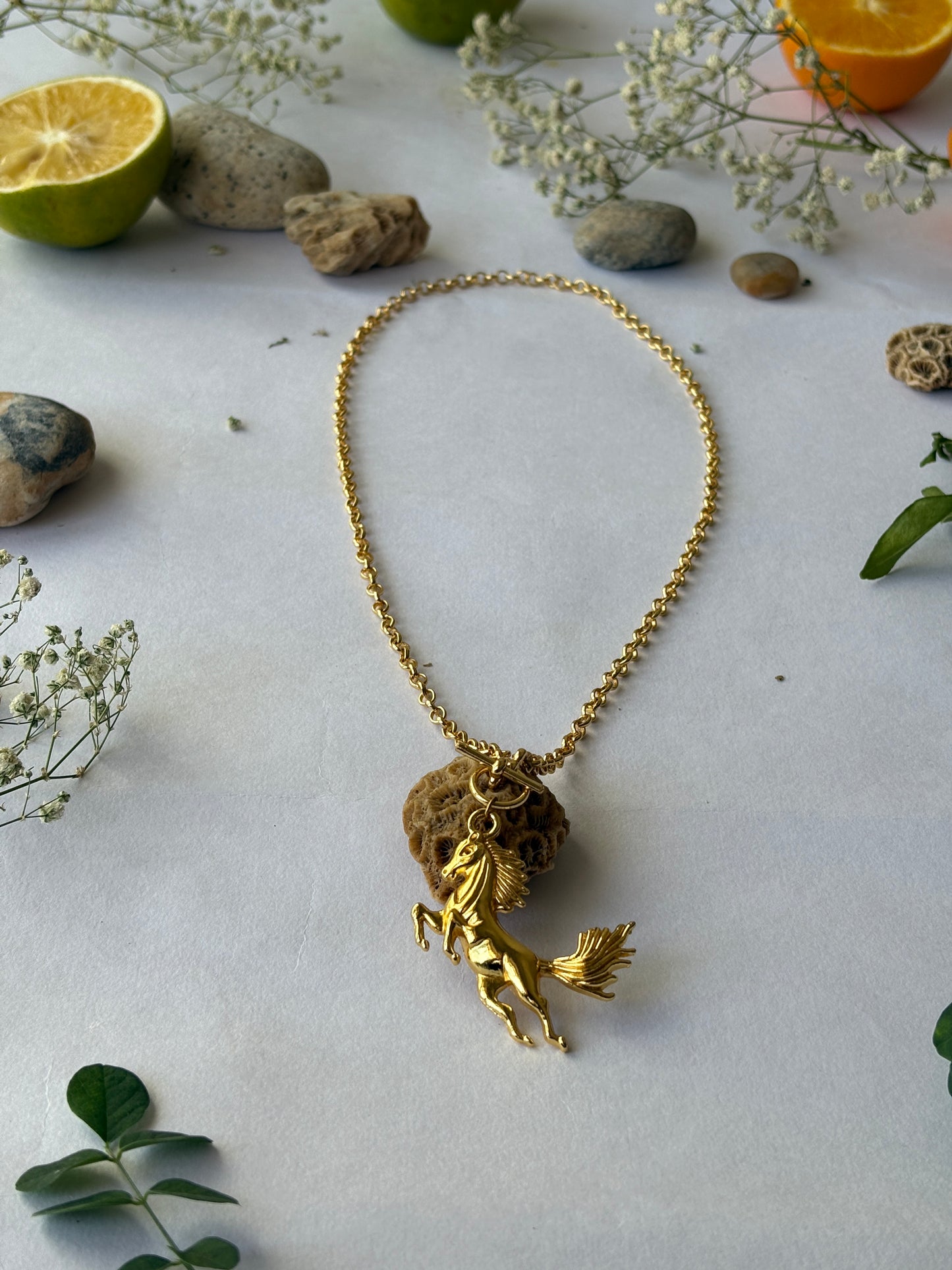 FONA neck chain
