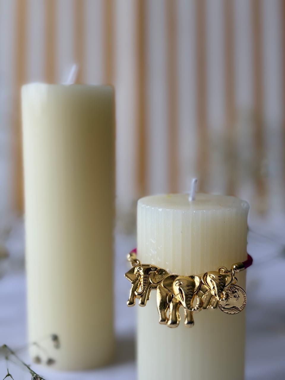 Hathi Sikka Rakhi