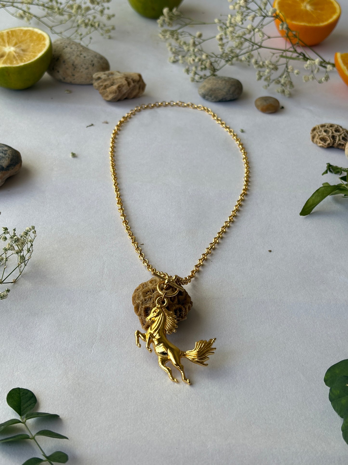 FONA neck chain