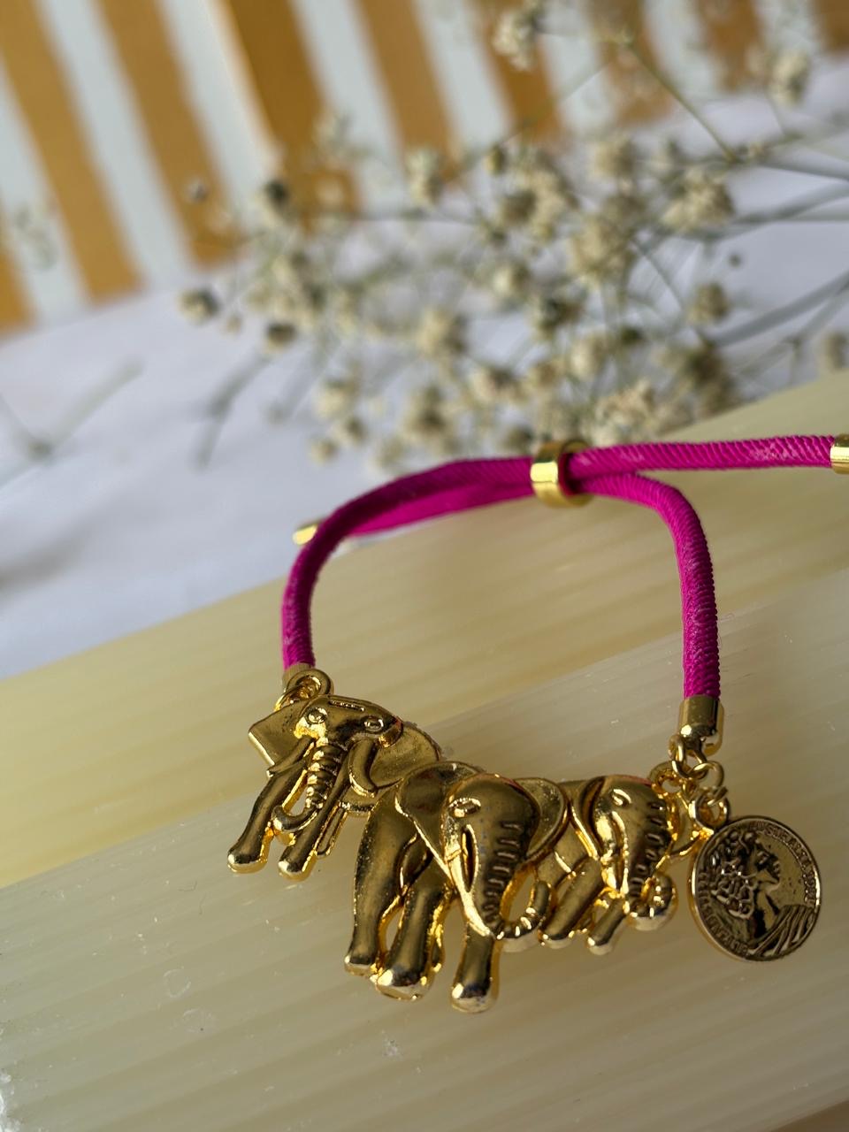 Hathi Sikka Rakhi