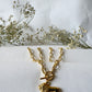 Lion necklace
